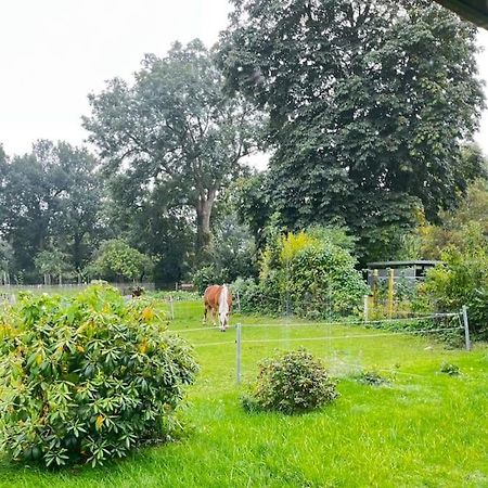 Urlaub In Unserem „Kleinen Haus“ Nindorf  Bagian luar foto